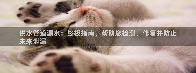 球友会app干啥的软件