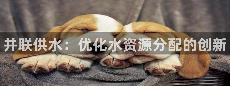 球友会app官网下载安装