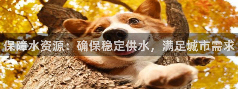 球友会破解码