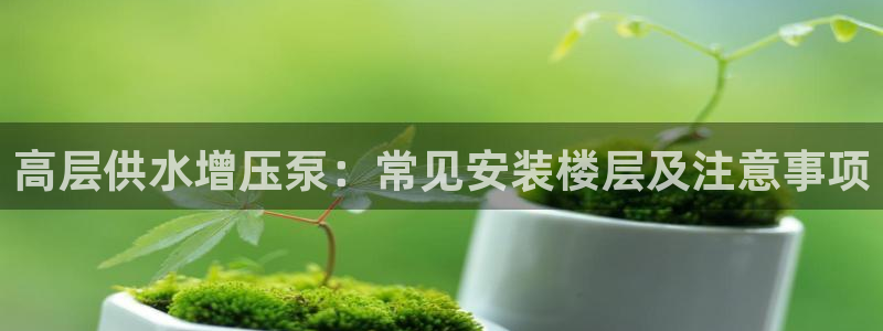 关键词
