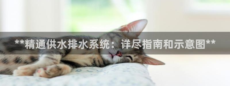 球友会app官网下载安卓