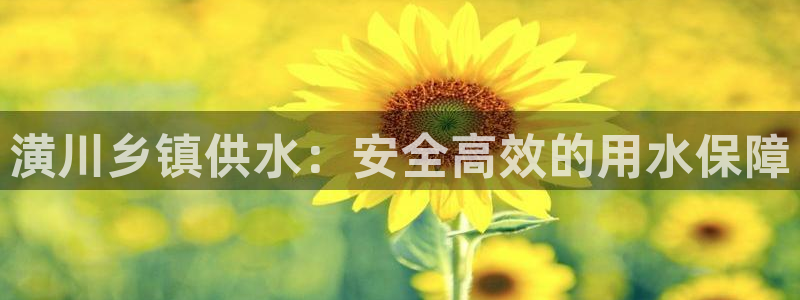 球友会提款审核中