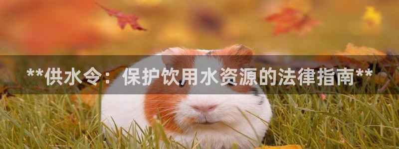 球友会比赛结果查询