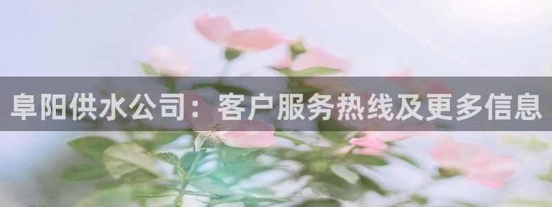 球友会app