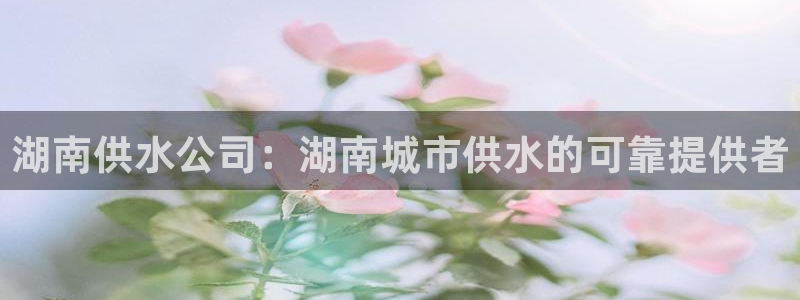 球友会登陆