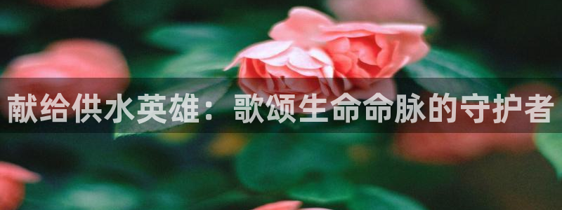 qy球友会体育官方平台