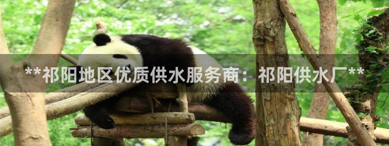 球友会体育app下载安卓手机